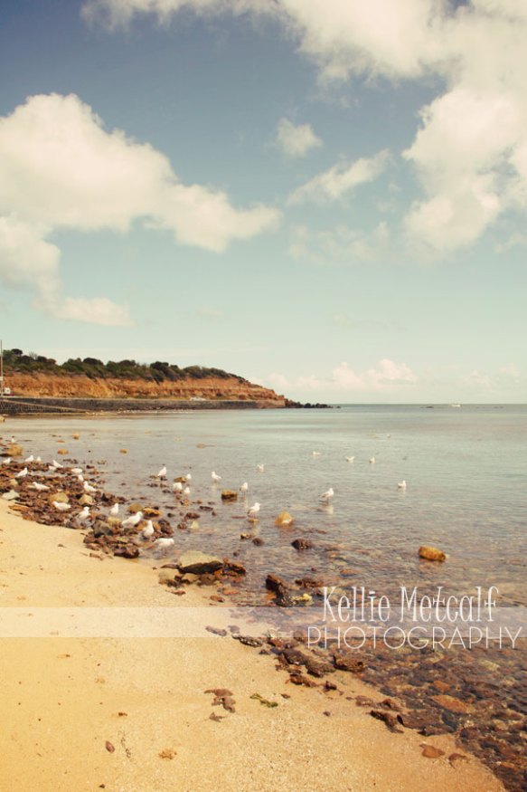 © Kellie Metcalf Photography