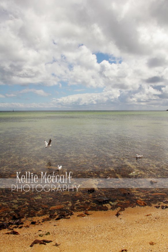 © Kellie Metcalf Photography