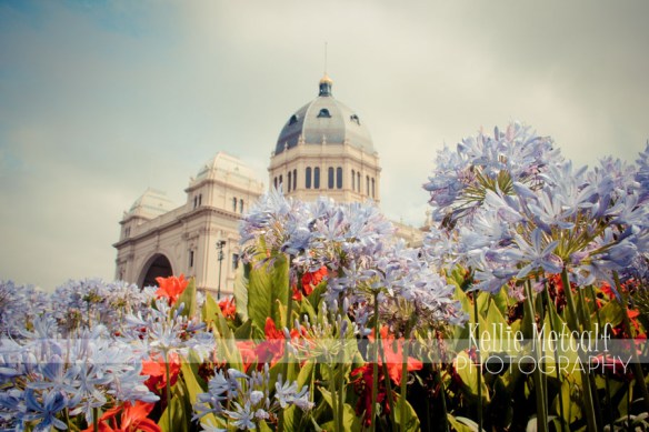 © Kellie Metcalf Photography