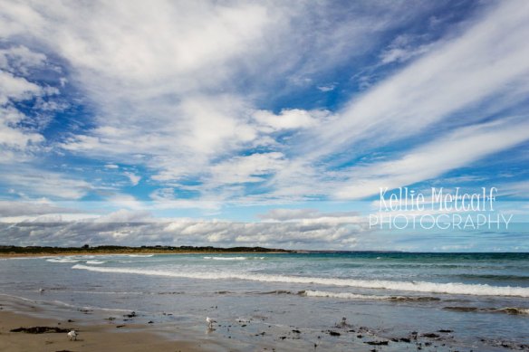 © Kellie Metcalf Photography