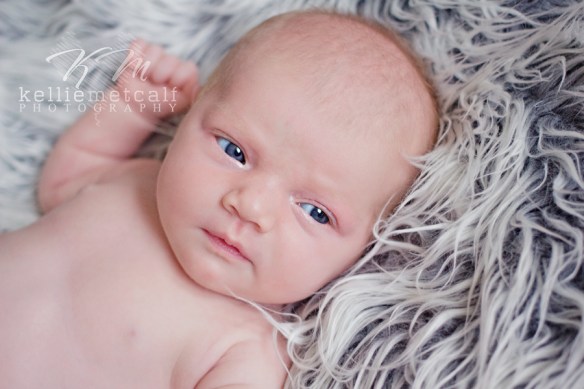 © Kellie Metcalf Photography